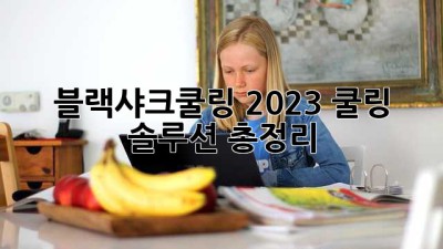 블랙샤크쿨링🧊 2023 쿨링 솔루션 총정리!