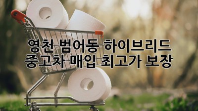 영천 범어동 하이브리드 중고차 매입 최고가 보장!